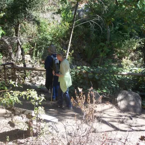 SBBG Community Free Day, visitors viewing the Mission Creek area below Mission dam