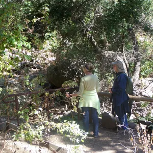 SBBG Community Free Day, visitors viewing the Mission Creek area below Mission dam