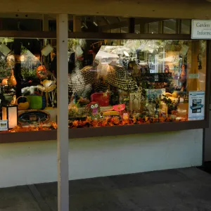 front window display at the gift shop, SBBG Community Free Day, October 16 2011