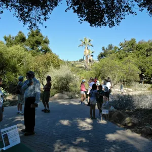 visitors at the Garden Entrance, SBBG Community Free Day, October 16 2011
