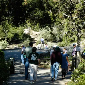 visitors at the Garden Entrance, SBBG Community Free Day, October 16 2011