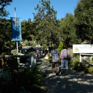 visitors at the Garden Entrance, SBBG Community Free Day, October 16 2011