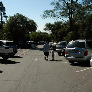 father and son on their way to the Garden entrance, parking lot, SBBG Community Free Day, October 16 2011
