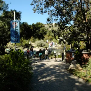 visitors at the Garden Entrance, SBBG Community Free Day, October 16 2011