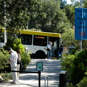 Santa Barbara MTD bus 22 at the Garden Entrance, Community Free Day, October 2011