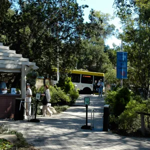 Santa Barbara MTD bus 22 at the Garden Entrance, Community Free Day, October 2011