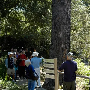 Docent Tour in the Arroyo Section, SBBG Community Free Day, October 16 2011