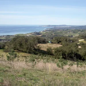 SBBG Torrey Pines research project, Hay Hill