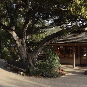 SBBG Entrance Kiosk, Garden Gift Shop, North Wing, wide panorama