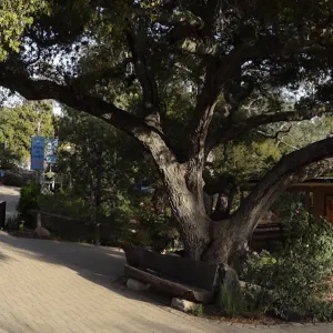 SBBG Entrance Kiosk, Garden Gift Shop, North Wing, wide panorama