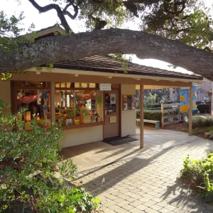 SBBG Entrance, Garden Gift Shop, North Wing, evening sunlight