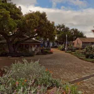 Gift Shop, Santa Barbara Botanic Garden