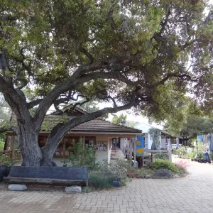Gift Shop, Santa Barbara Botanic Garden