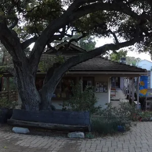 Entrance Kiosk, Gift Shop panorama, Santa Barbara Botanic Garden