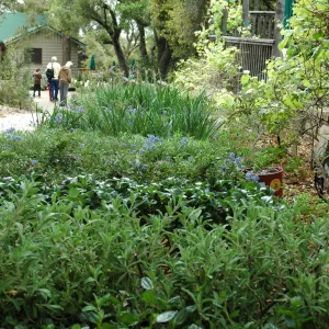 Spring Plant Sale 2012