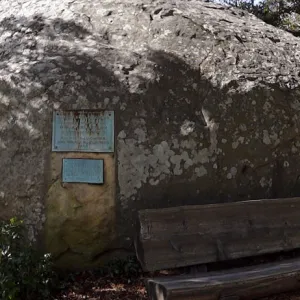 Blaskley Boulder, wildflowers on display, panorama
