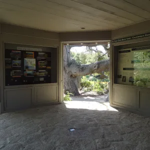 Inside the Information Kiosk