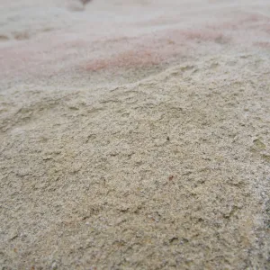 Sandstone boulders as texture and pattern