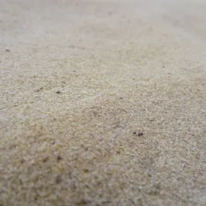 Sandstone boulders as texture and pattern