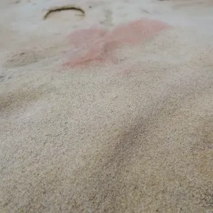 Sandstone boulders as texture and pattern