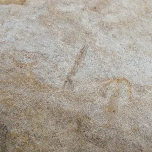 Sandstone boulders as texture and pattern