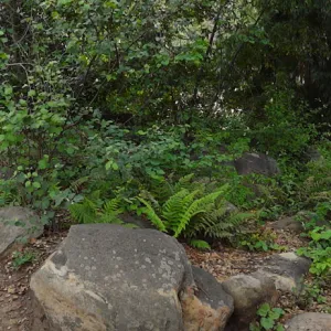 wood bench, rock pool, Manzanita Section, panorama