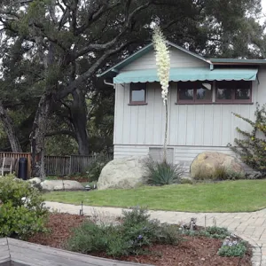 Cottage, Home Demonstration Garden, wood deck, panorama