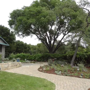 Cottage, Home Demonstration Garden