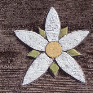 Mentzelia flower from wood entrance sign, texture and pattern
