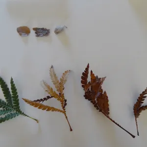 leaves as texture and pattern