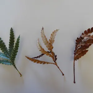 leaves as texture and pattern