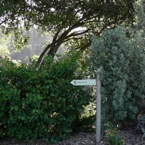 trail to Natural Area, east slope, panorama