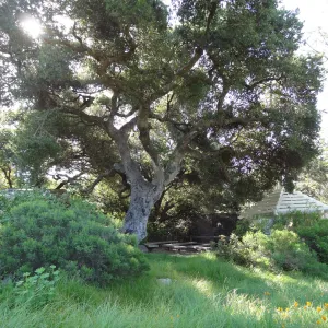 lower Meadow, amphitheater seating behind Entrance Kiosk