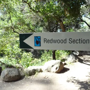 Redwood Section sign