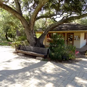 Garden Gift Shop, entrance oak, wood bench