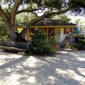 Garden Gift Shop, entrance oak, wood bench