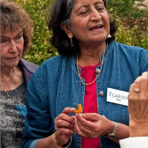Docent Tour, National Public Gardens Day, tour at SBBG