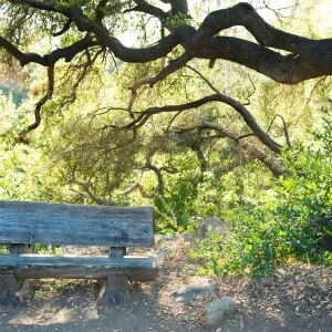 SBBG Spring 2012, Â©ZstheDayPhotography