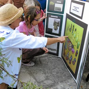 Community Free Day