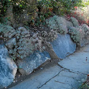 Parking lot steps to Mission Canyon Road