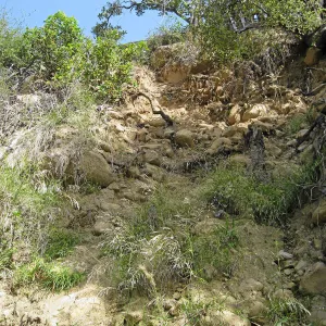 Unstable slope below Garden Growers lath house