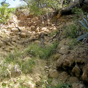 Unstable slope below Garden Growers lath house