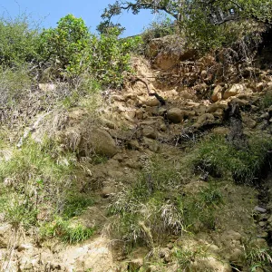 Unstable slope below Garden Growers lath house