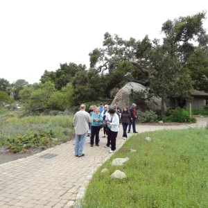 Docent Tours in the Garden, National Public Gardens Day 2012, SBBG