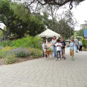 Visitors at Entrance kiosk, National Public Gardens Day 2012, SBBG