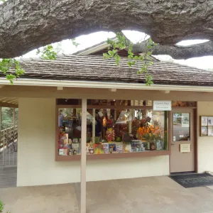 Gift Shop, National Public Gardens Day 2012, SBBG