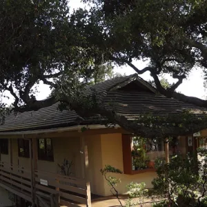 North wing, Garden Shop and Garden Entrance oak panorama