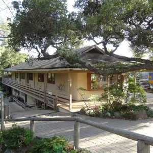 North wing, Garden Shop and Garden Entrance oak