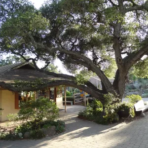 North wing, Garden Shop and Garden Entrance oak
