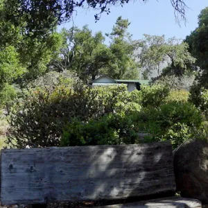 wood bench, oak canopy, Manzanita Section panorama